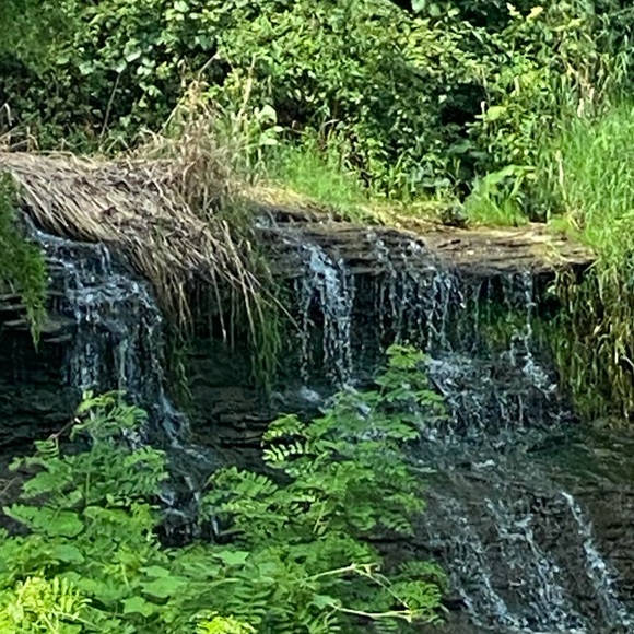 Meet the Posher - Picture 3 of 6